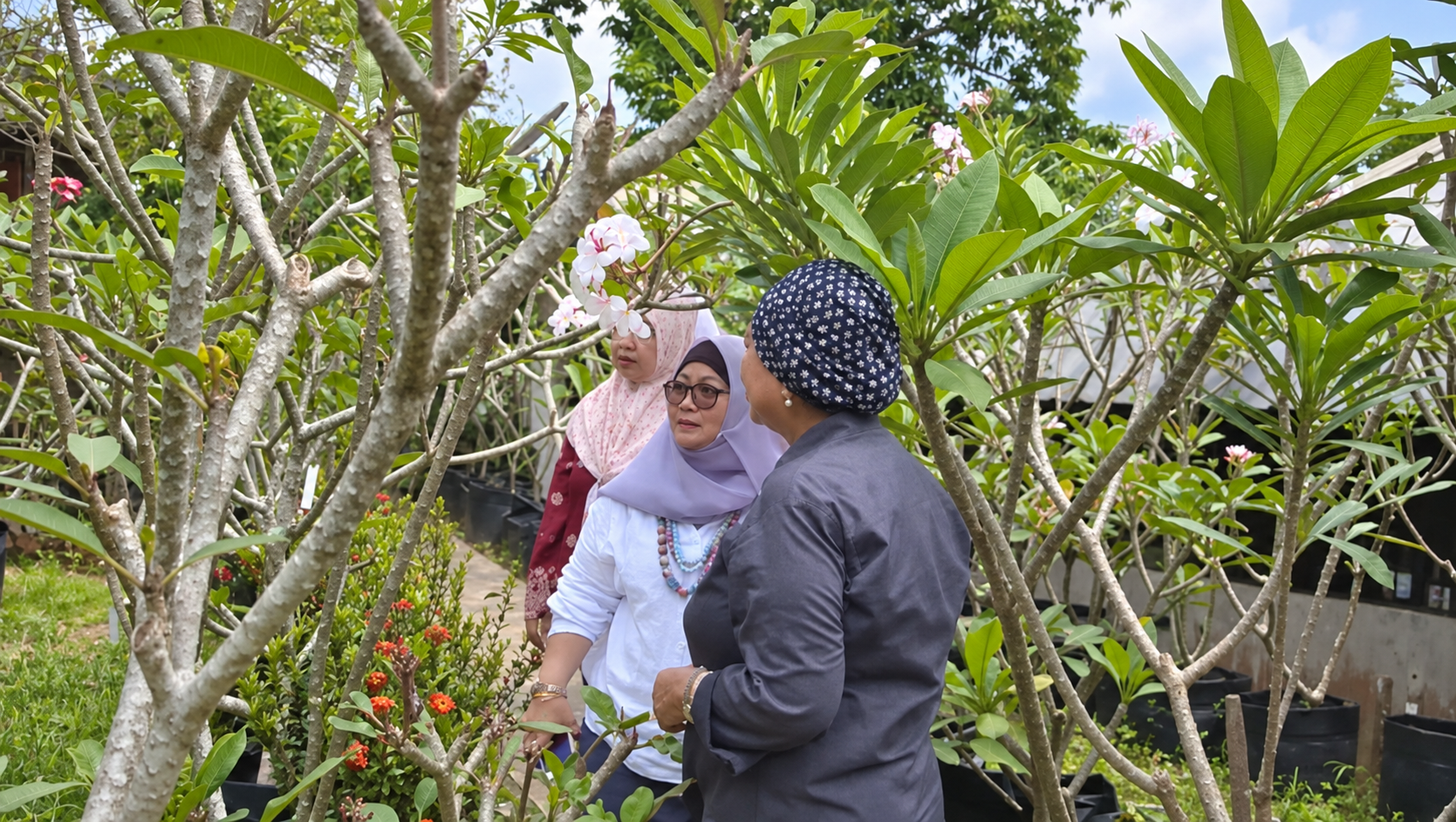 Taman bunga Siol Kandis