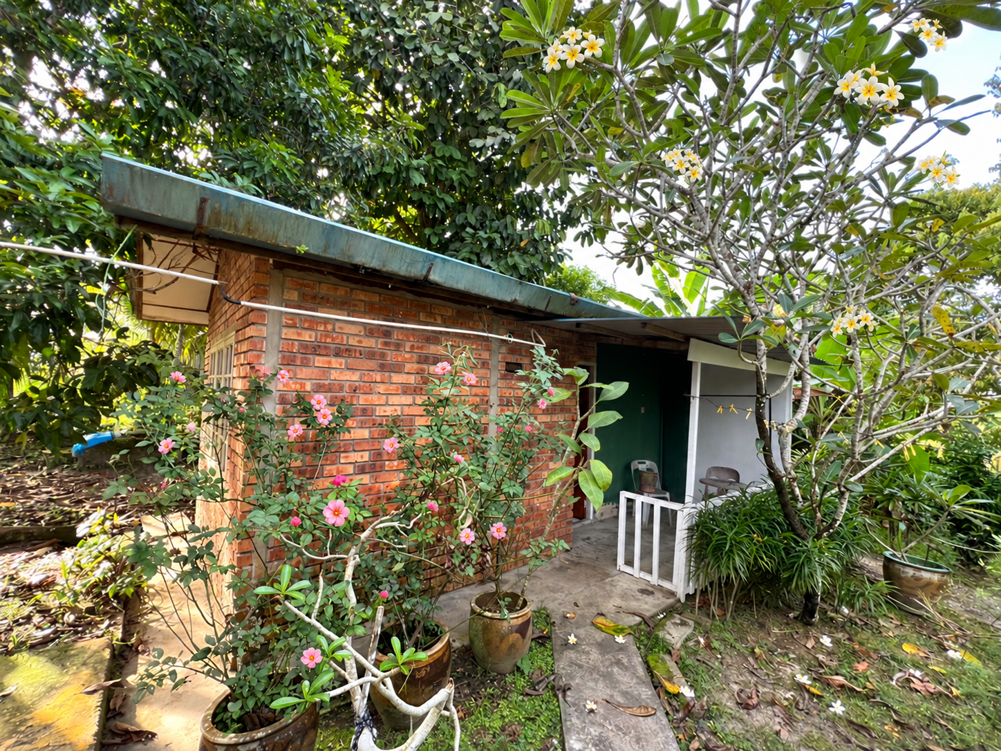 Sara Cottage dengan bunga di taman Siol Kandis